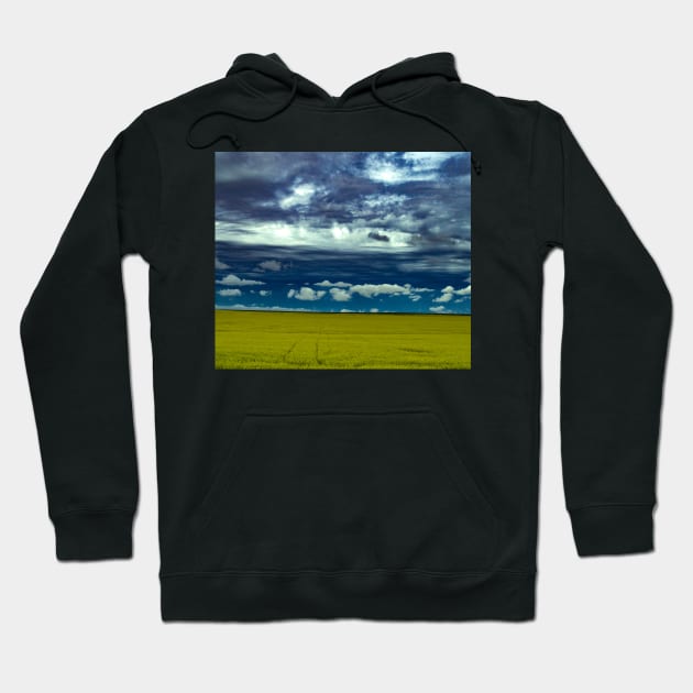 Canola Field Weather Hoodie by StevenElliot